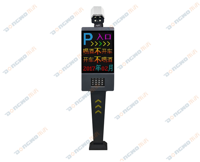 Full color screen license plate