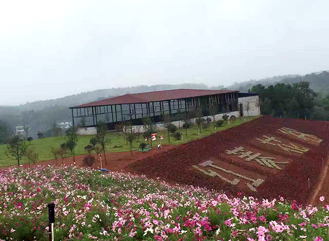 岳阳汨罗市西长四季花谷
